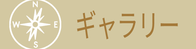 ギャラリー