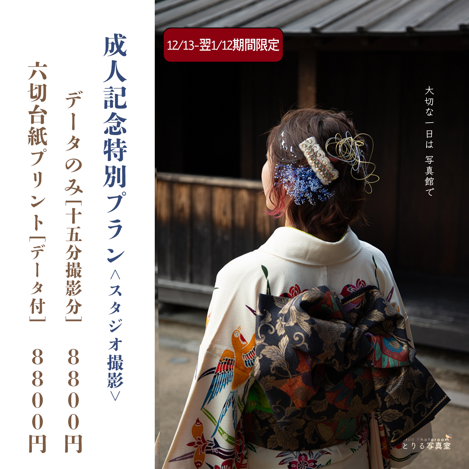 成人式特別価格